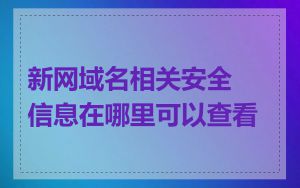 新网域名相关安全信息在哪里可以查看
