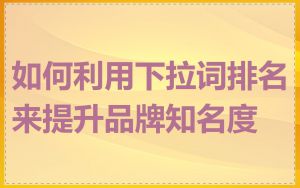 如何利用下拉词排名来提升品牌知名度