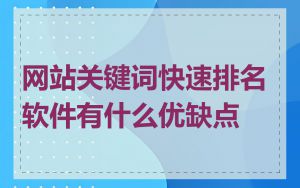 网站关键词快速排名软件有什么优缺点