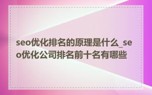 seo优化排名的原理是什么_seo优化公司排名前十名有哪些