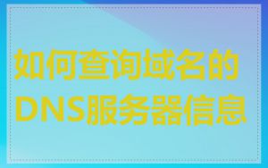 如何查询域名的DNS服务器信息