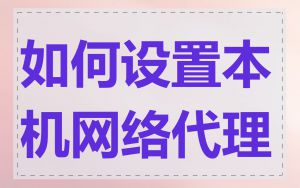 如何设置本机网络代理