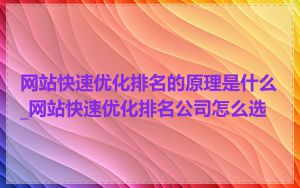 网站快速优化排名的原理是什么_网站快速优化排名公司怎么选