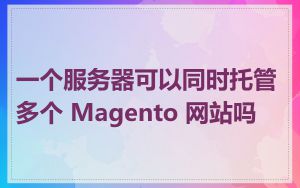 一个服务器可以同时托管多个 Magento 网站吗