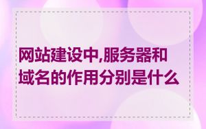 网站建设中,服务器和域名的作用分别是什么