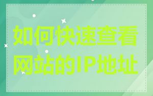 如何快速查看网站的IP地址