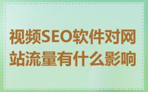 视频SEO软件对网站流量有什么影响