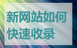 新网站如何快速收录