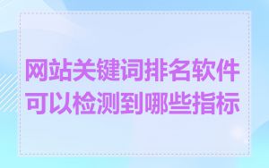 网站关键词排名软件可以检测到哪些指标