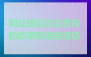 网址域名综合查询的结果有哪些信息