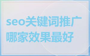 seo关键词推广哪家效果最好