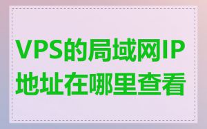 VPS的局域网IP地址在哪里查看