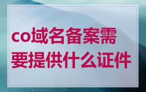 co域名备案需要提供什么证件