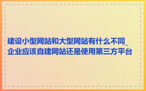 建设小型网站和大型网站有什么不同_企业应该自建网站还是使用第三方平台