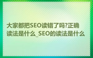 大家都把SEO读错了吗?正确读法是什么_SEO的读法是什么
