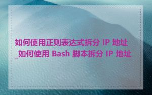 如何使用正则表达式拆分 IP 地址_如何使用 Bash 脚本拆分 IP 地址
