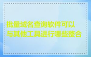 批量域名查询软件可以与其他工具进行哪些整合
