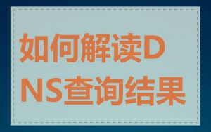 如何解读DNS查询结果