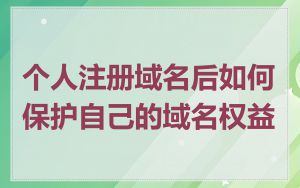 个人注册域名后如何保护自己的域名权益