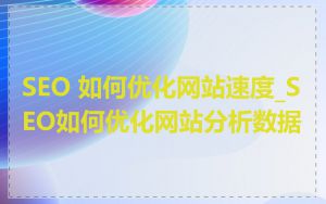 SEO 如何优化网站速度_SEO如何优化网站分析数据