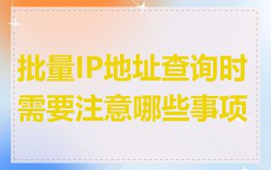 批量IP地址查询时需要注意哪些事项