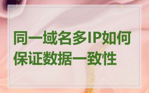 同一域名多IP如何保证数据一致性