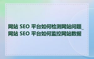 网站 SEO 平台如何检测网站问题_网站 SEO 平台如何监控网站数据