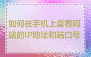 如何在手机上查看网站的IP地址和端口号