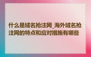 什么是域名抢注网_海外域名抢注网的特点和应对措施有哪些