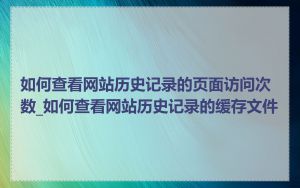 如何查看网站历史记录的页面访问次数_如何查看网站历史记录的缓存文件