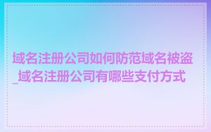 域名注册公司如何防范域名被盗_域名注册公司有哪些支付方式