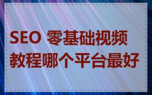 SEO 零基础视频教程哪个平台最好
