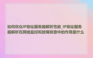 如何优化IP地址服务器解析性能_IP地址服务器解析在网络监控和故障排查中的作用是什么