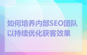 如何培养内部SEO团队以持续优化获客效果
