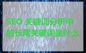 SEO 关键词分析中的长尾关键词是什么