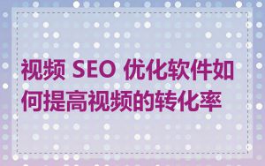 视频 SEO 优化软件如何提高视频的转化率