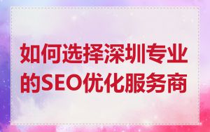 如何选择深圳专业的SEO优化服务商