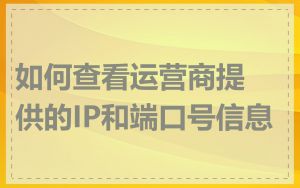 如何查看运营商提供的IP和端口号信息
