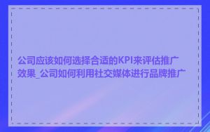 公司应该如何选择合适的KPI来评估推广效果_公司如何利用社交媒体进行品牌推广