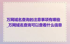 万网域名查询的注意事项有哪些_万网域名查询可以查看什么信息