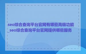 seo综合查询平台官网有哪些高级功能_seo综合查询平台官网提供哪些服务