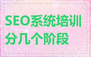 SEO系统培训分几个阶段