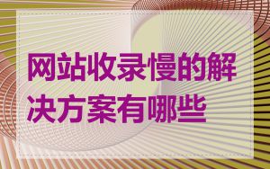 网站收录慢的解决方案有哪些