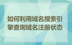 如何利用域名搜索引擎查询域名注册状态