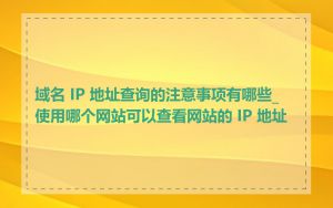 域名 IP 地址查询的注意事项有哪些_使用哪个网站可以查看网站的 IP 地址