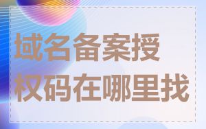 域名备案授权码在哪里找