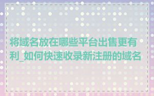将域名放在哪些平台出售更有利_如何快速收录新注册的域名
