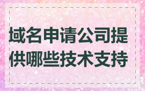 域名申请公司提供哪些技术支持
