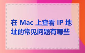 在 Mac 上查看 IP 地址的常见问题有哪些