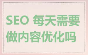 SEO 每天需要做内容优化吗